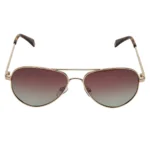 Polaroid PLD-6012/N/NEW-J5G-LA-56 Aviator Sunglasses Size -56 Gold / Brown